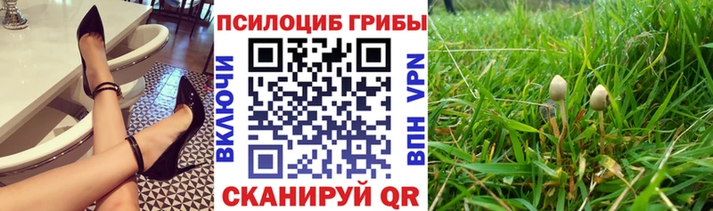 Галлюциногенные грибы ЛСД mega как зайти Калтан